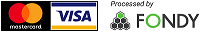 mastercard/visa/fondy